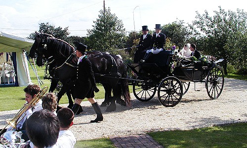 Horse and carriage